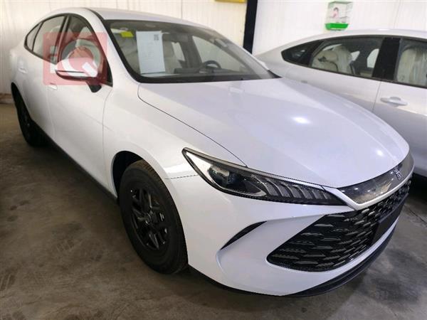 بي واي دي Qin Plus 2025 للبيع في العراق - السليمانية